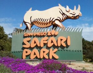 Things to Do in San Diego
