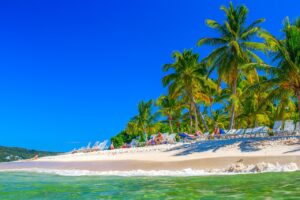 Tropical Destinations