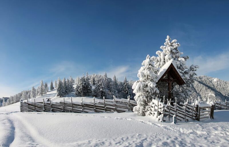 Winter Vacation