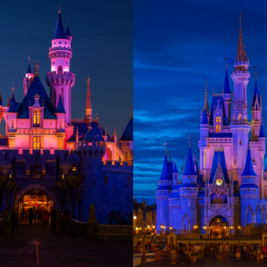 Disneyland vs. Disney World