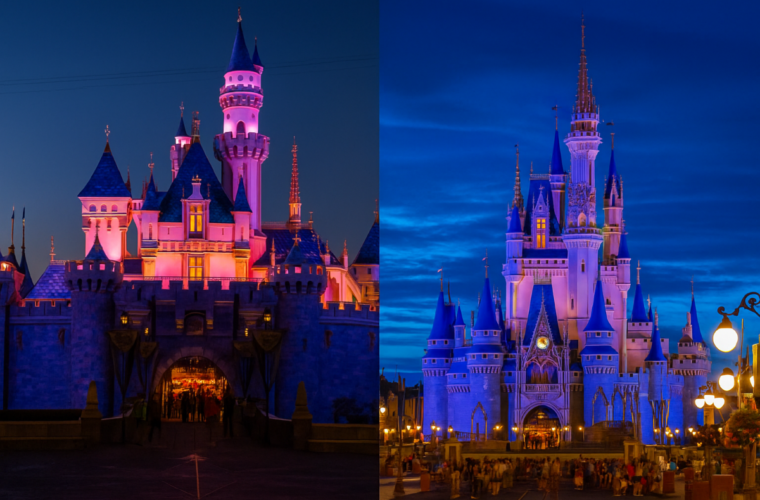 Disneyland vs. Disney World